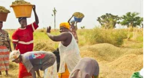 Emploi, souveraineté alimentaire, gouvernance économique et financière, ressources naturelles… : le président Diomaye à fond !