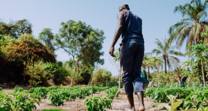 La Der/Fj et ses partenaires promeuvent le « numérique agricole »