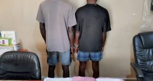 Guédiawaye: 2 dealers dissimulent 15 pilules de volet dans leurs shorts