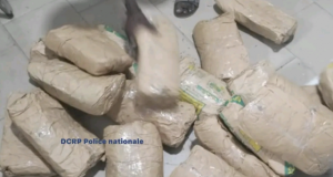 Coup de filet nocturne : la police démantèle un réseau et saisit 301 kg de « YAMBA » à Dakar et Rufisque… Quatre trafiquants sous les verrous !