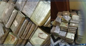 Kolda : saisie de plus de 240 plaquettes de cocaïne d’une contrevaleur de près de 22 milliards FCFA par les douanes