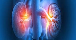 Hypertension et maladies rénales chroniques (MRC) : Le taux de prévalence à Dakar a atteint 3,8%…Matam, 9%…