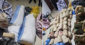 Niacoulrab : 108 kg de chanvre indien saisis, un réseau de narcotrafic démantelé
