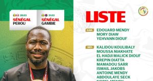 LISTE DES LIONS : deux retours, deux bleus et une grosse absence