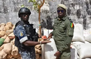 Bignona: 10 tonnes de produits illicites saisies, 14 personnes interpellées lors d’une vaste opération