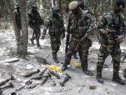 Sénégal: en Casamance, des rebelles affaiblis mais la paix minée par le cannabis