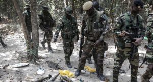 Sénégal: en Casamance, des rebelles affaiblis mais la paix minée par le cannabis