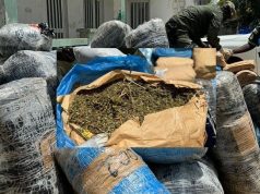 Rufisque/ Trafic de drogue par pirogue : près de 188 kg de chanvre indien saisis sur la plage, trois individus arrêtés