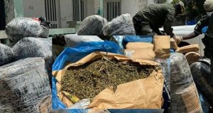 Rufisque/ Trafic de drogue par pirogue : près de 188 kg de chanvre indien saisis sur la plage, trois individus arrêtés