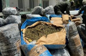 Rufisque/ Trafic de drogue par pirogue : près de 188 kg de chanvre indien saisis sur la plage, trois individus arrêtés