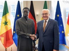 Diomaye Faye reçu par Frank-Walter Steinmeier : Berlin et Dakar veulent « consolider l’héritage » de 1962