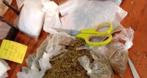 LUTTE CONTRE LE TRAFIC DE DROGUE : LA GENDARMERIE FRAPPE FORT À DIAMNIADIO ET HANN