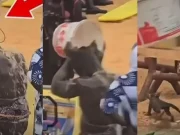 LUTTE : Reug Reug suspendu par la Fédération sénégalaise de lutte