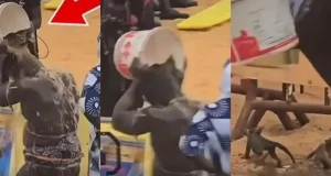 LUTTE : Reug Reug suspendu par la Fédération sénégalaise de lutte