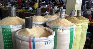 PRÉSENCE D’AFLATOXINE : L’ITA PRÉCISE QUE LES ECHANTILLONS CONTAMINÉS CONCERNENT DU RIZ IMPORTÉ ET NON DU RIZ LOCAL