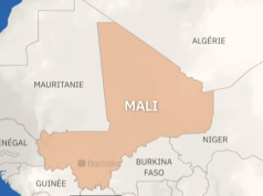 Mali : au moins 10 civils tués par des militaires et retrouvés dans « des sacs » (sources locales)