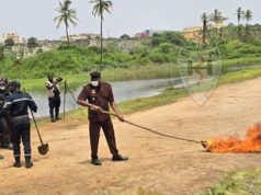 Guédiawaye : 15 tonnes de produits périmés d’une valeur de 22 millions de FCFA détruites