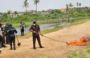 Guédiawaye : 15 tonnes de produits périmés d’une valeur de 22 millions de FCFA détruites